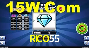 Premium Interface RICO55