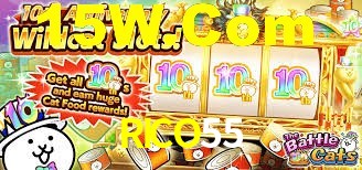 RICO55