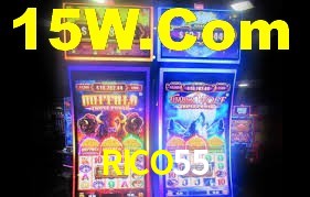RICO55 App Interface