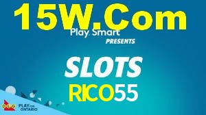 Daily Bonuses RICO55