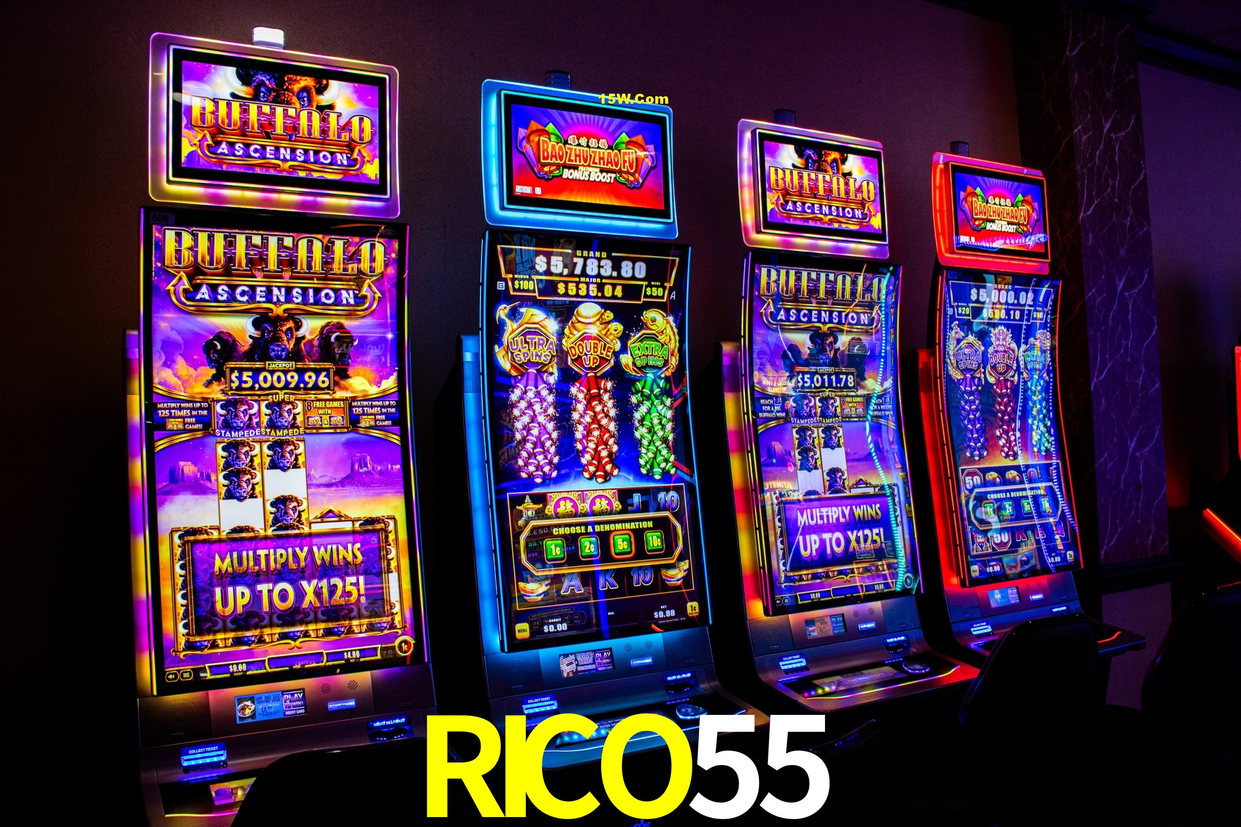 Quick Registration RICO55