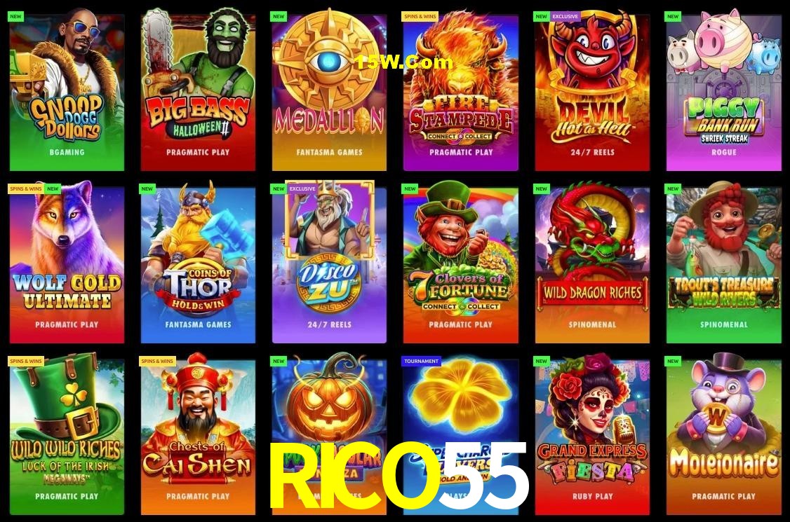 Secure Login RICO55